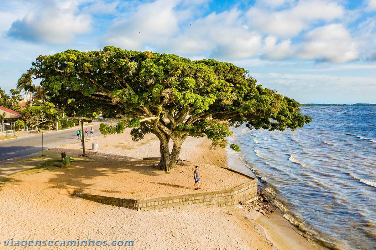 Terra de Todas as Paisagens