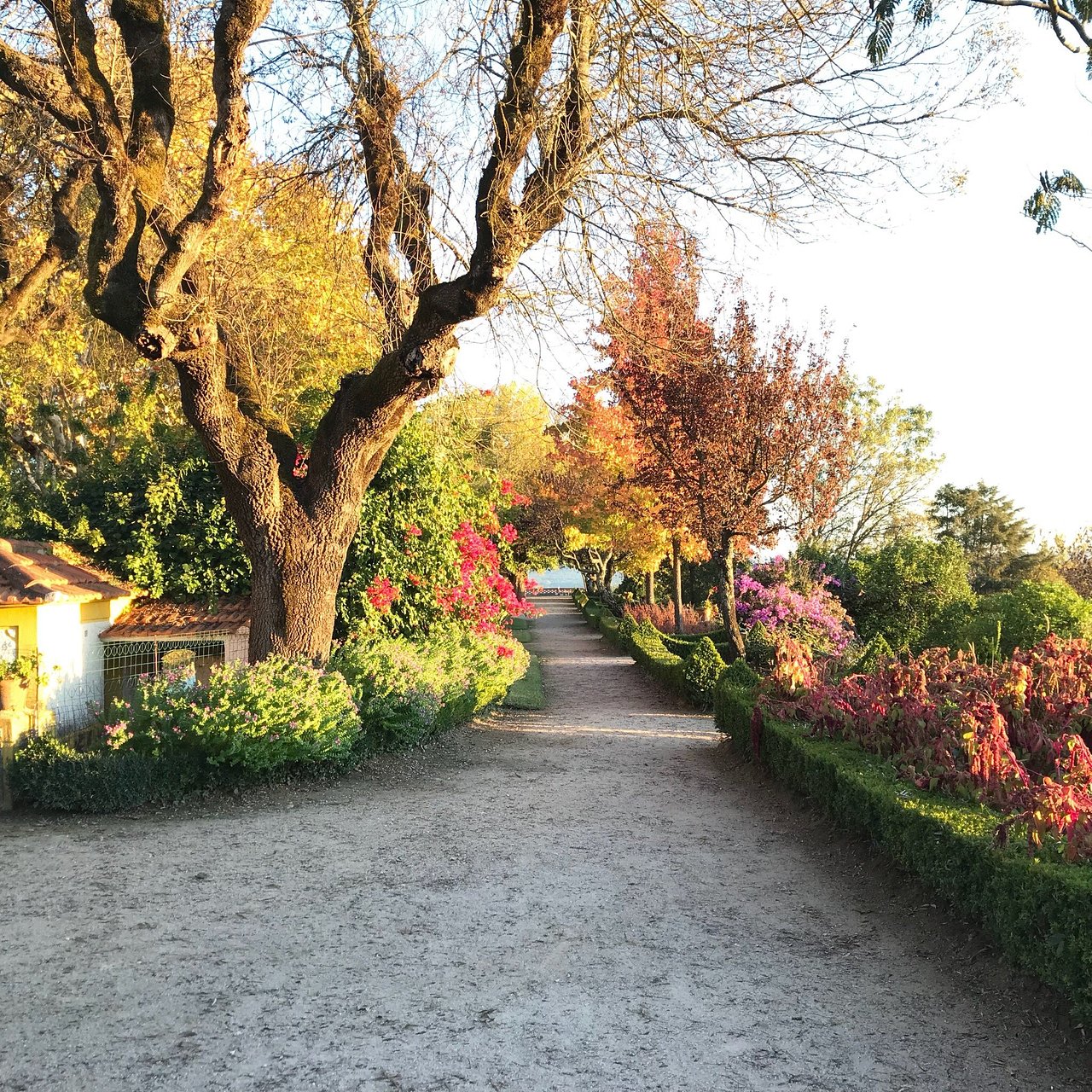 turismo médio tejo