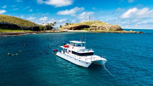 observação de baleias Abrolhos