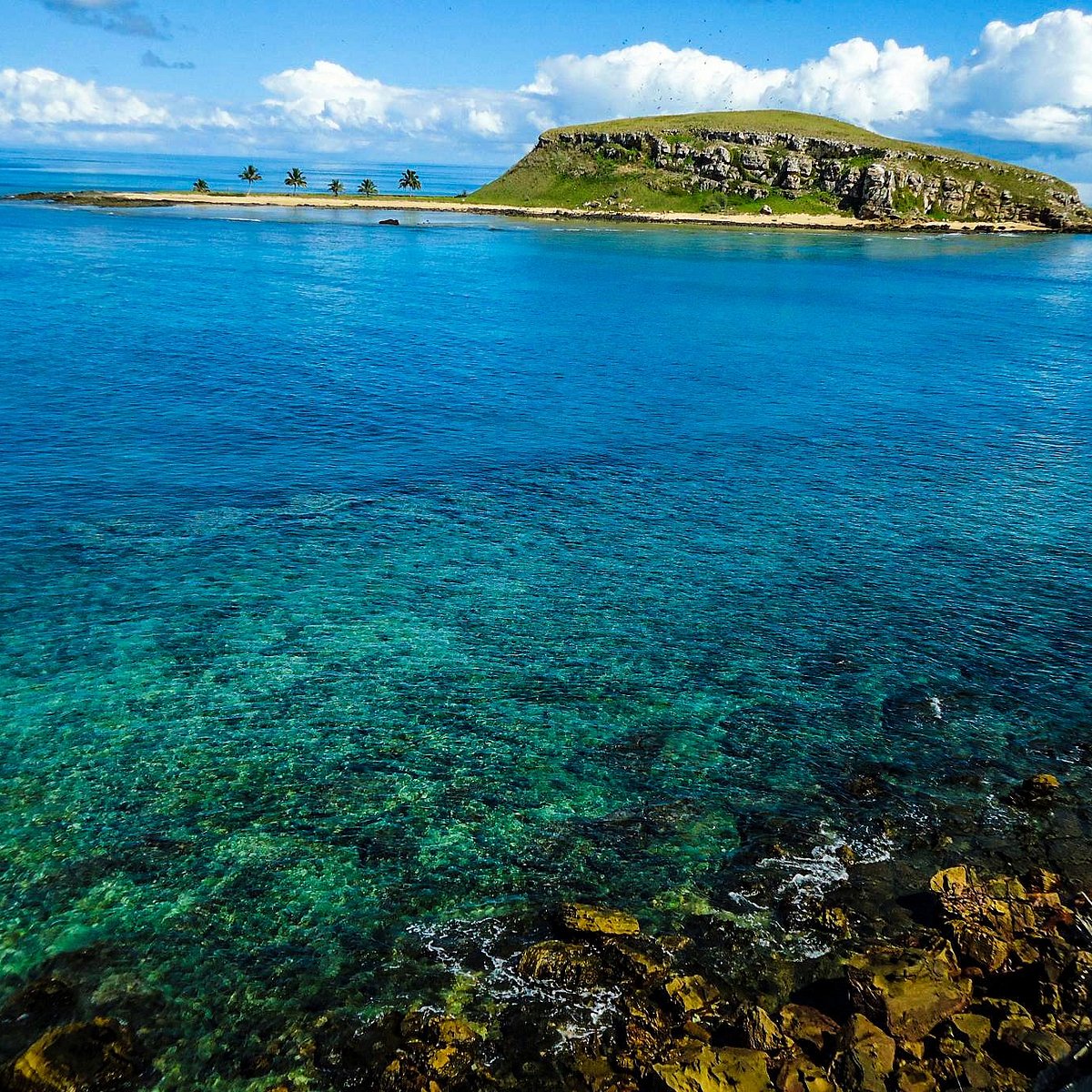 como chegar em Abrolhos