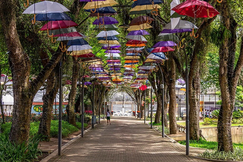 visita guiada centro vitória