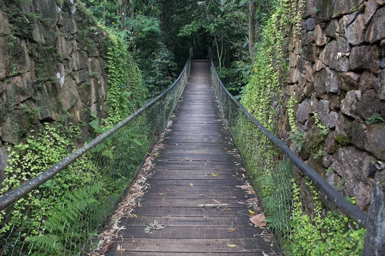 o que fazer em ubatuba