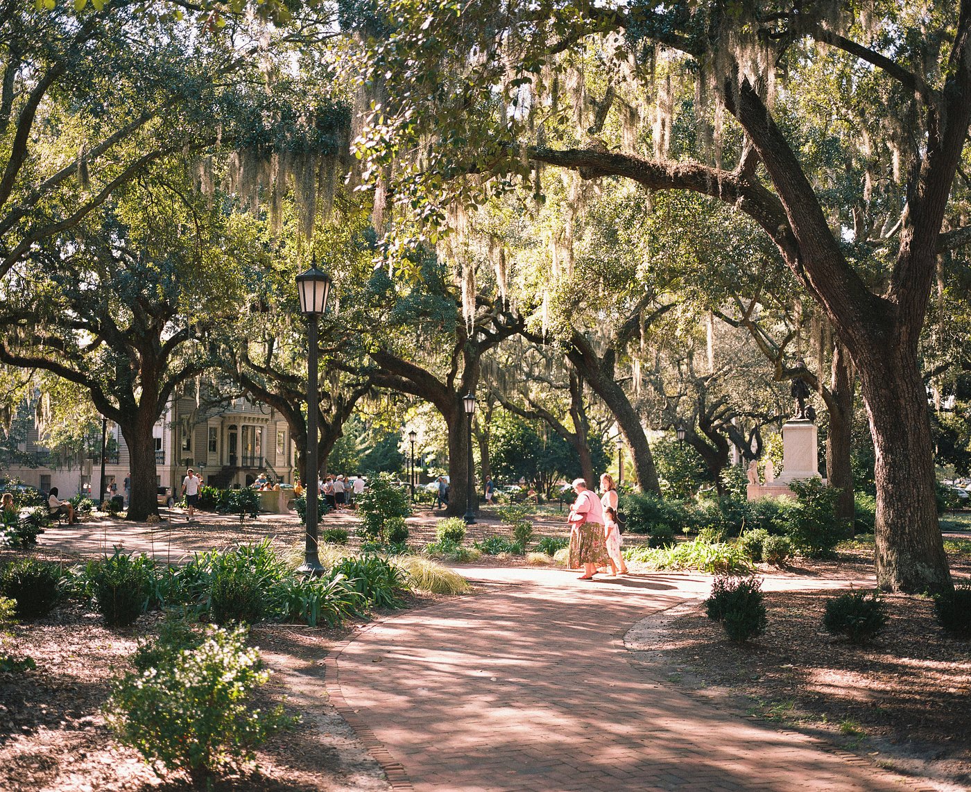 parques naturais Savannah